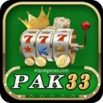 PAK 33 Game logo